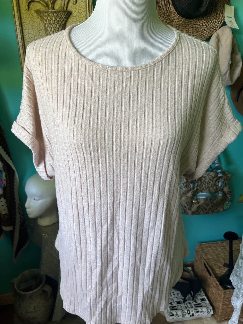 Women's Ribbed Short-Sleeve Knit Top - Light Cream